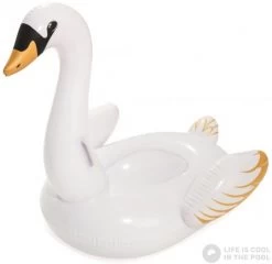 Inflatable Swan